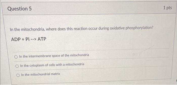 Solved There are H+inside of the mitochondrial matrix | Chegg.com
