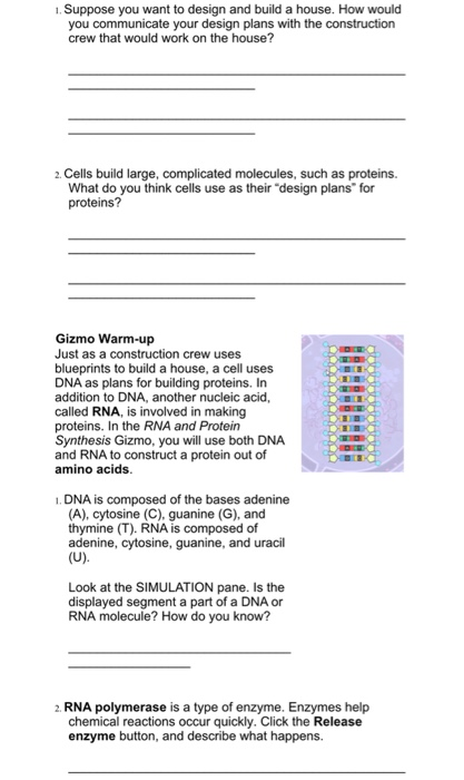 Enzyme Gizmo