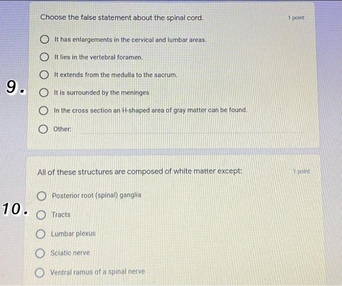 Solved 1 point In order for regeneration of a nerve to | Chegg.com