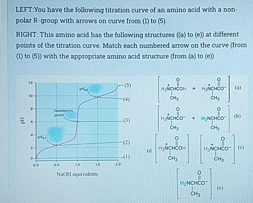 titration curve amino acid