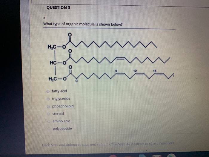 Solved QUESTION 3 What type of organic molecule is shown