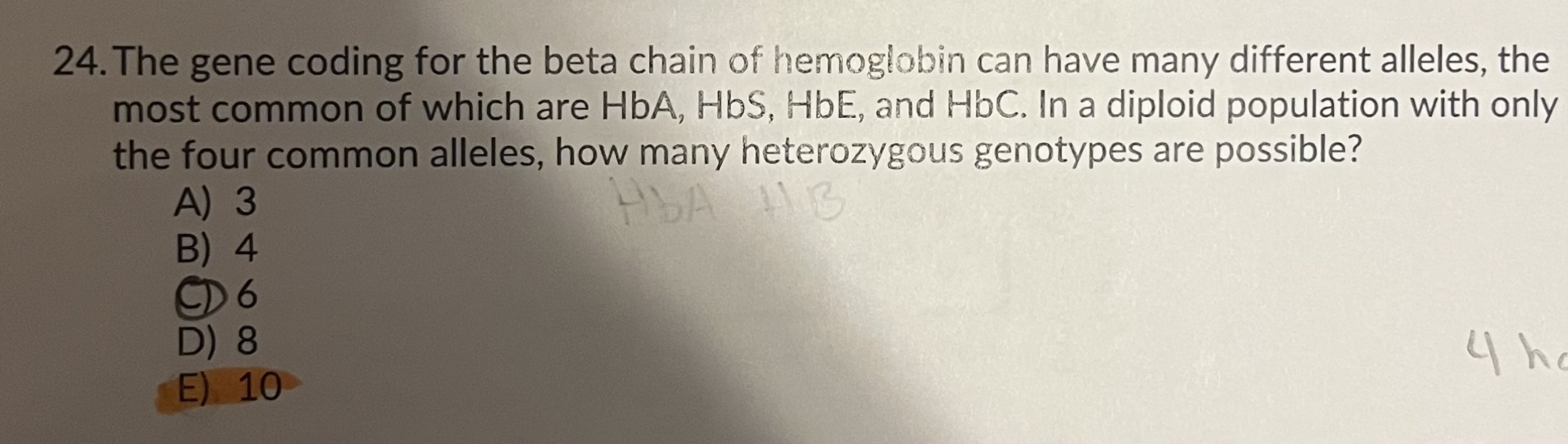 Solved The gene coding for the beta chain of hemoglobin can | Chegg.com