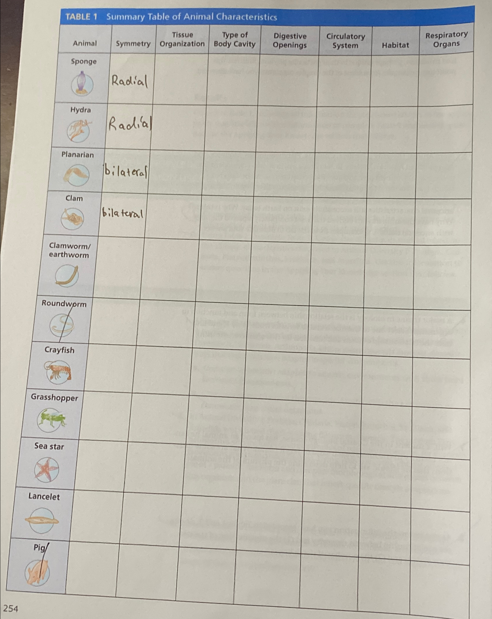TABLE 1 ﻿Summary Table of Animal Characteristics | Chegg.com
