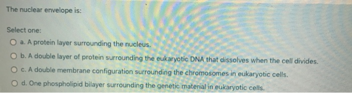 Solved Which statement is NOT true of mitochondria and | Chegg.com