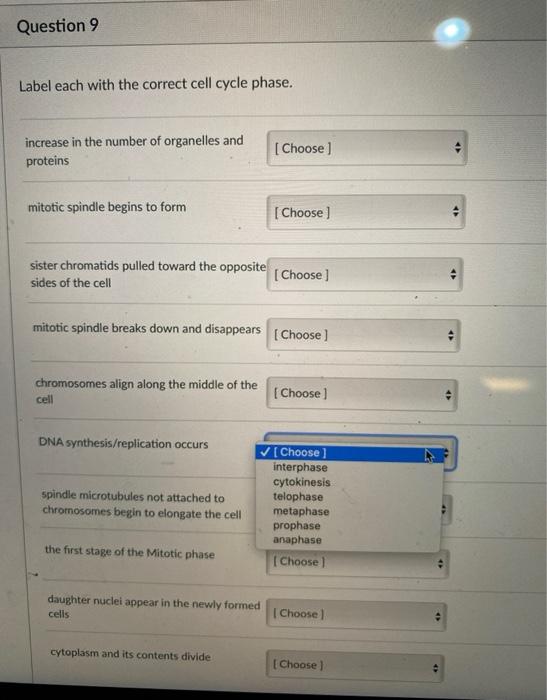 Solved Question 9 Label each with the correct cell cycle | Chegg.com