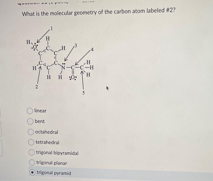 Solved What is the molecular geometry of the carbon atom | Chegg.com