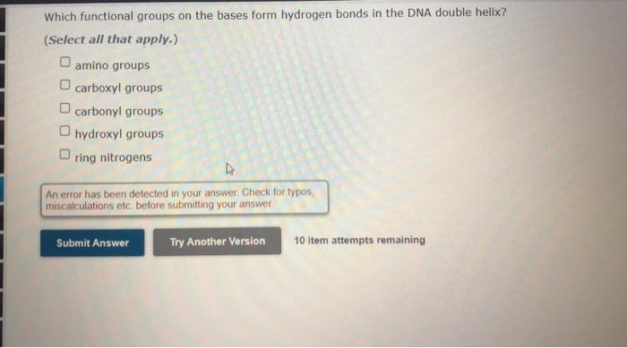 Which functional groups on the bases form hydrogen bonds in the DNA double helix?
(Select all that apply.)
amino groups
carbo