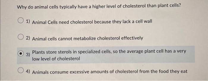 Solved Why Do Animal Cells Typically Have A Higher Level Of 