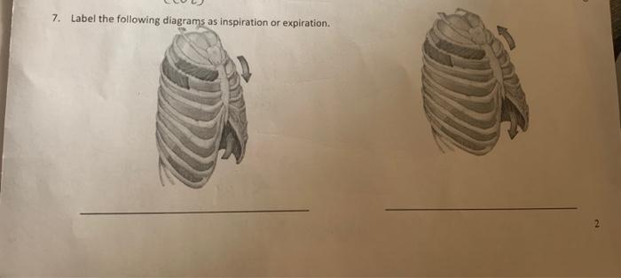 Solved 7. Label the following diagrams as inspiration or | Chegg.com