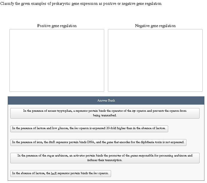 Solved Classify the given examples of ﻿prokaryotic gene | Chegg.com