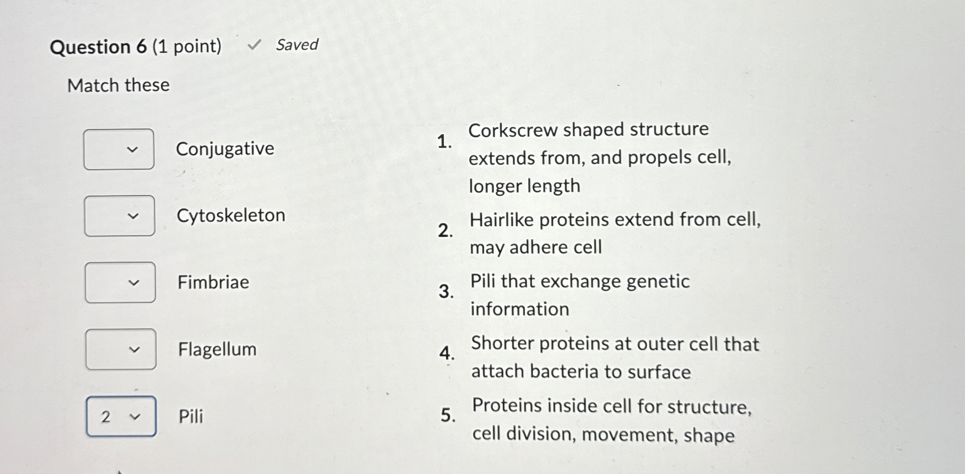 Solved Question 6 (1 ﻿point)Match
