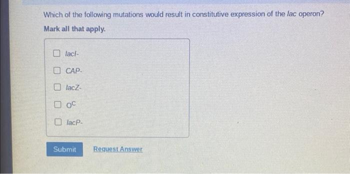 Solved Which of the following mutations would result in | Chegg.com