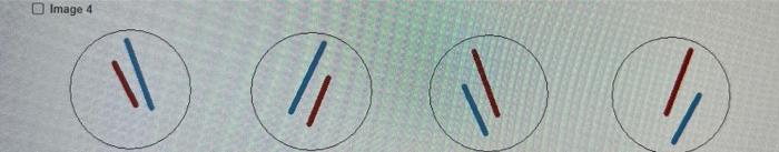 \( \begin{array}{lllllllllll}11 & 11 & 1\end{array} \)