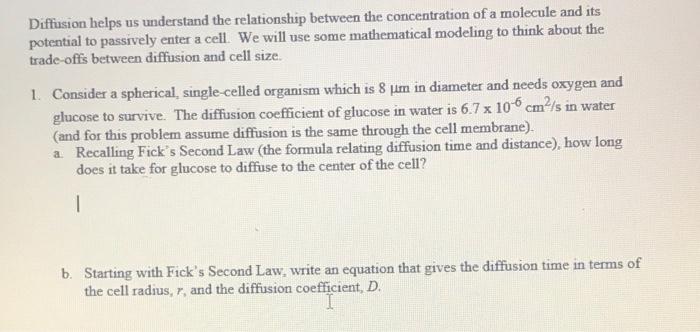 Solved Diffusion helps us understand the relationship | Chegg.com