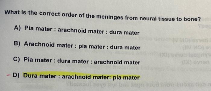 Solved What is the correct order of the meninges from neural | Chegg.com