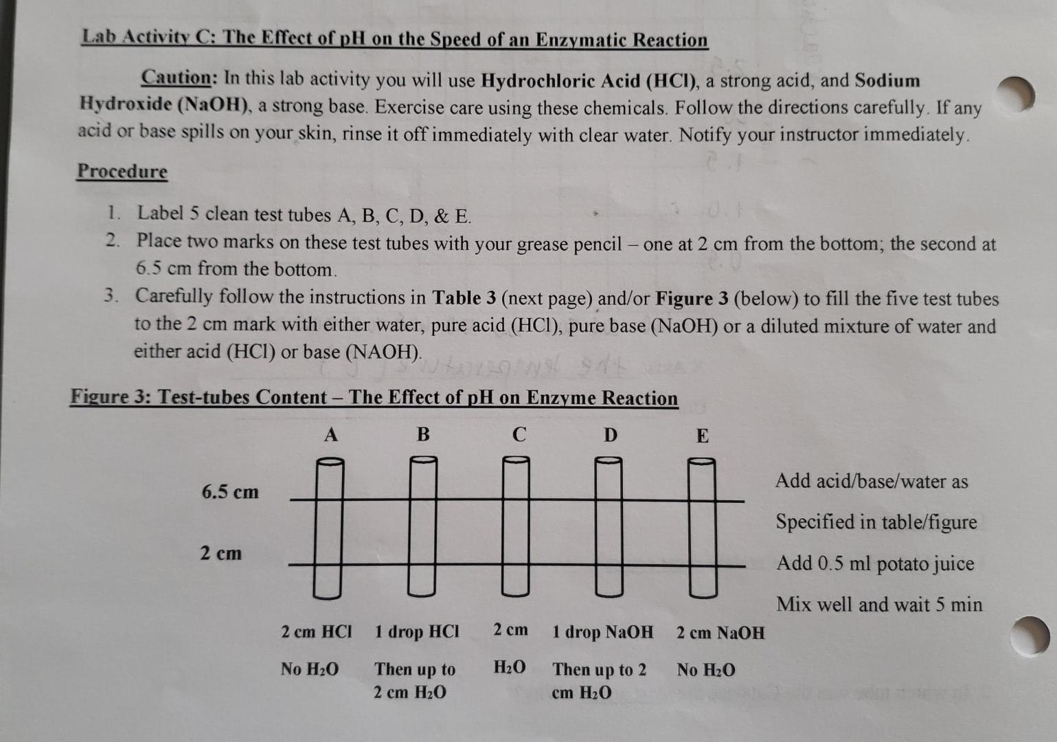 Solved Lab Activity C: The Effect of pH on the Speed of an | Chegg.com
