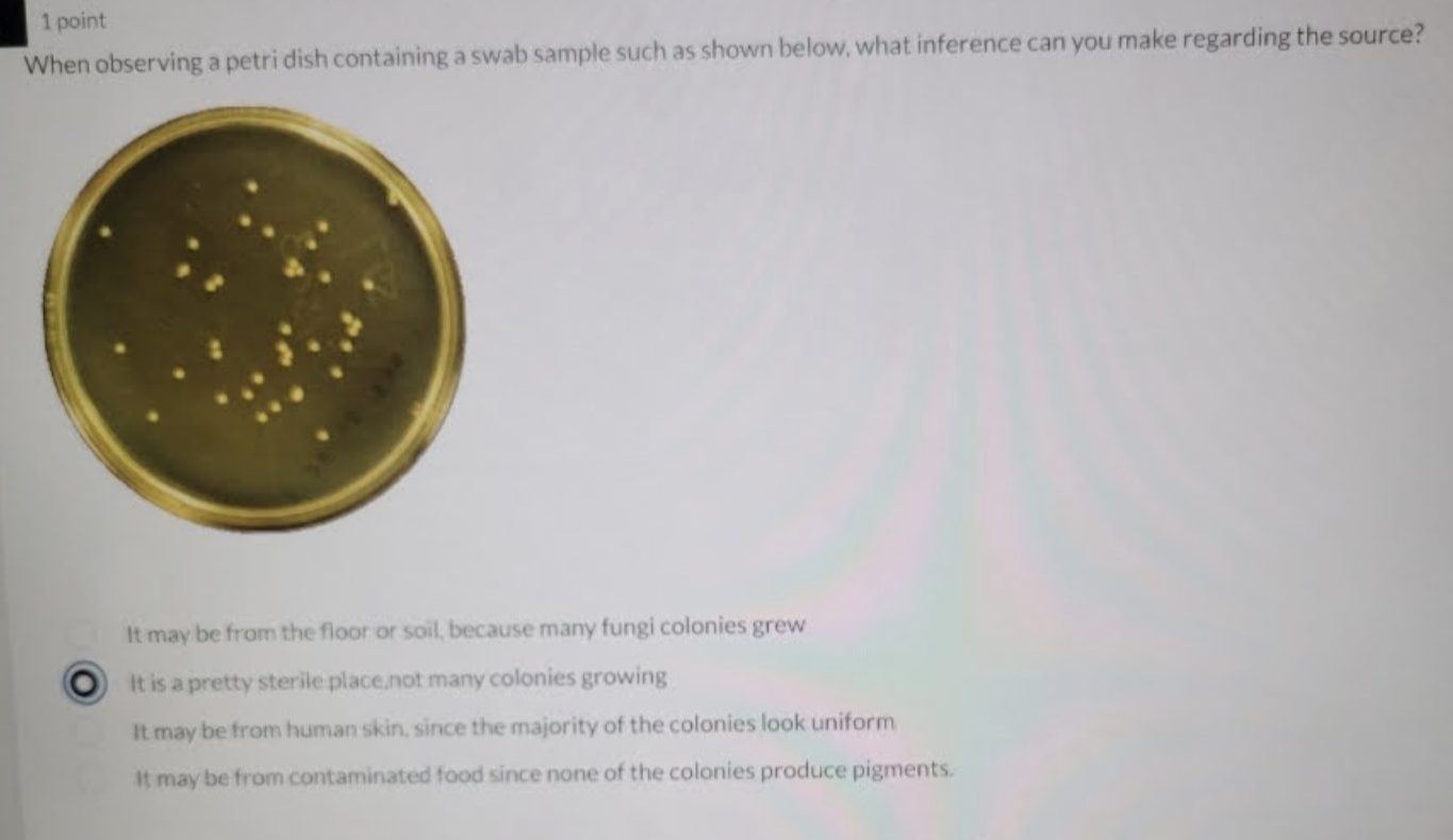 Solved 1 Point When Observing A Petri Dish Containing A Swab | Chegg.com