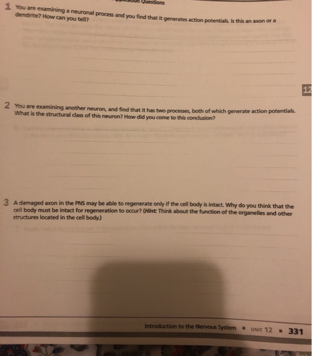 Solved Questions 1 You are examining a neuronal process and | Chegg.com