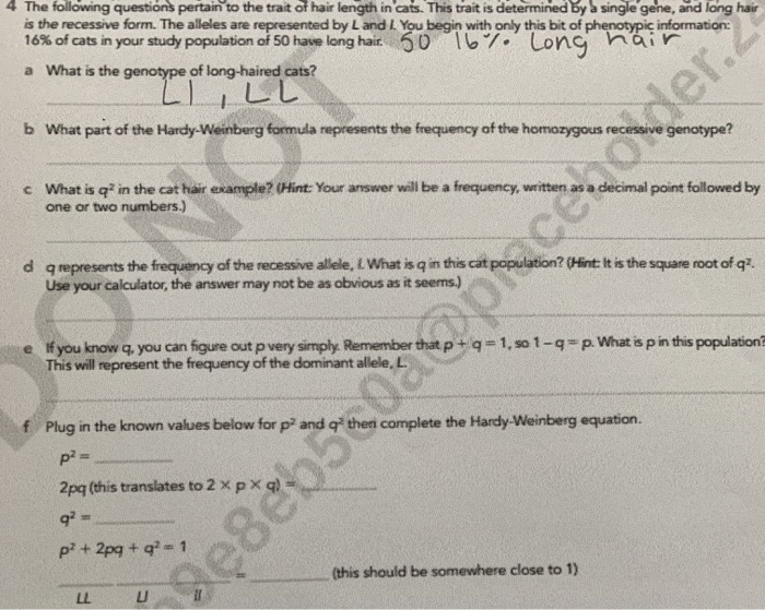 Solved 4 The following questions pertain to the trait of