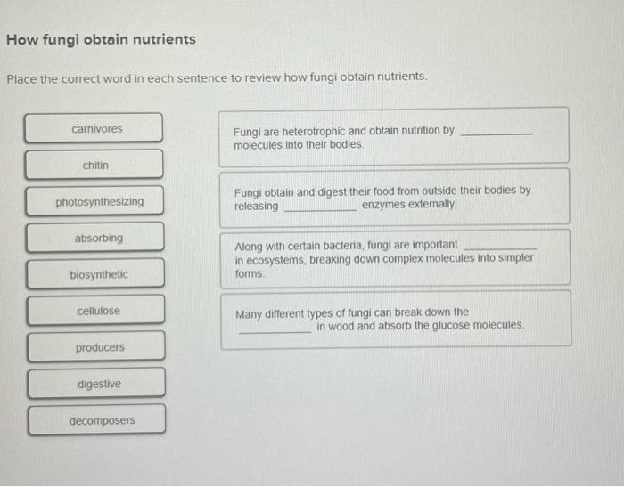 Solved How fungi obtain nutrients Place the correct word in
