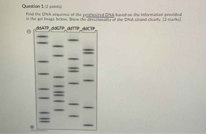Solved Question 1/2 points) Find the DNA sequence of the | Chegg.com