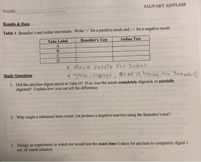 solved-name-salivary-amylase-results-data-table-1-chegg