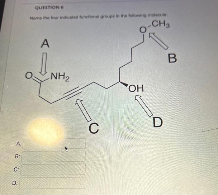 Solved 6- Name the four indicated functional groups in the | Chegg.com