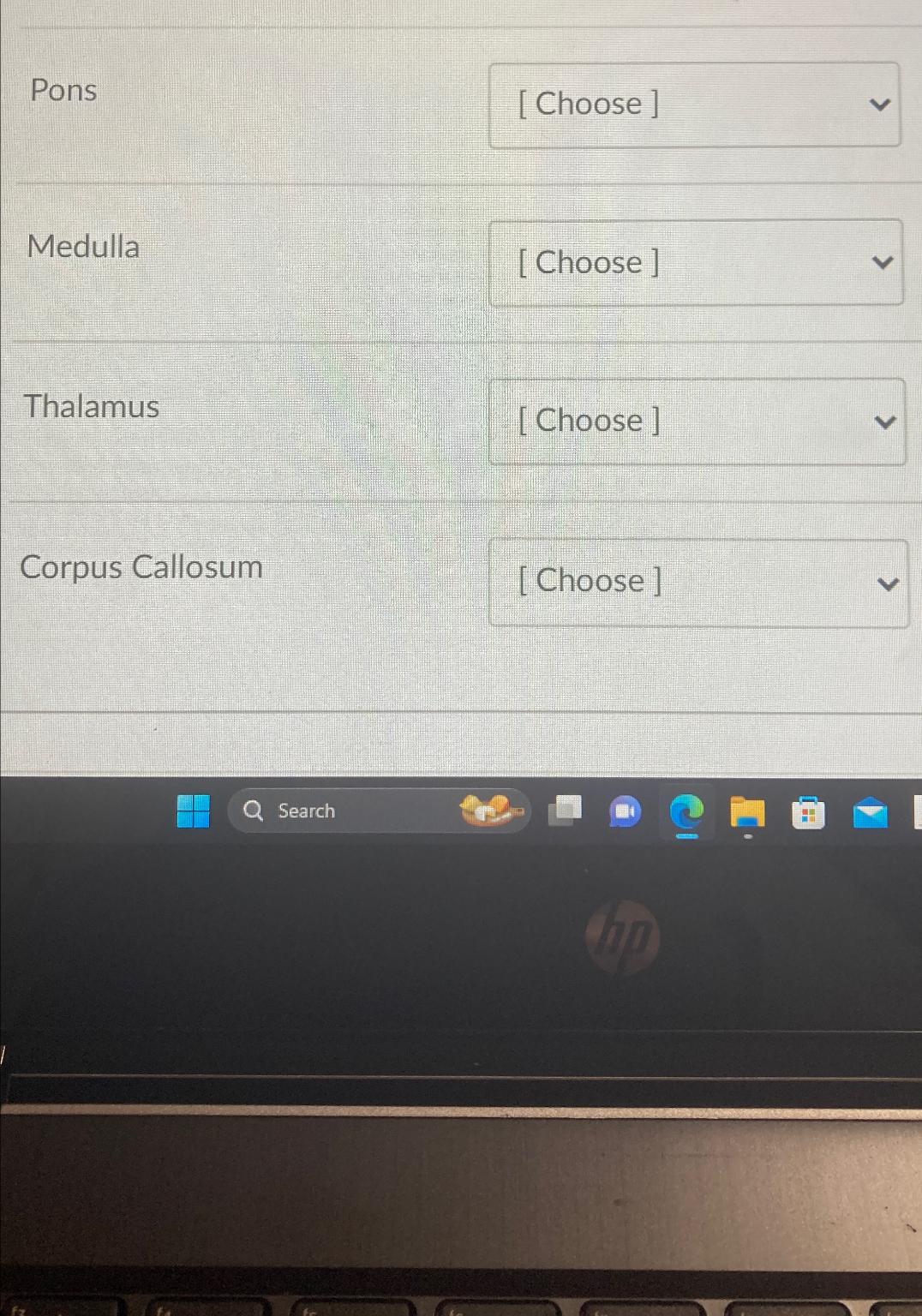 Solved PreFrontal CortexPonsMedullaThalamusCorpus