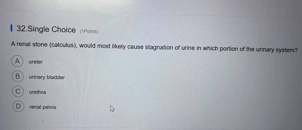 Solved I 28. Single Choice (1Points) Gross anatomy refers to | Chegg.com