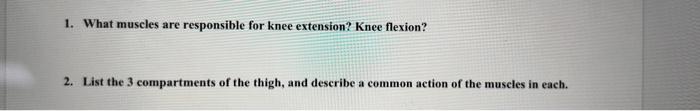 1. What muscles are responsible for knee extension? Knee flexion?
2. List the 3 compartments of the thigh, and describe a com