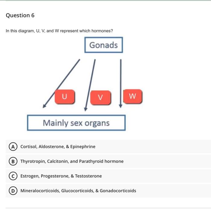 solved-which-structure-is-highlighted-in-this-image-jou