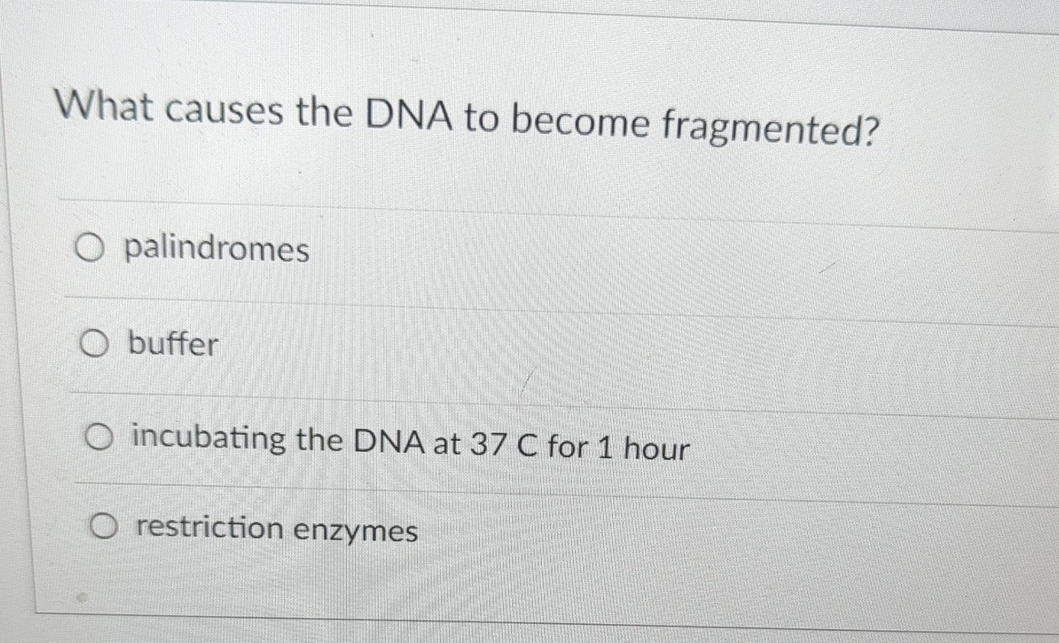 Solved What causes the DNA to become | Chegg.com
