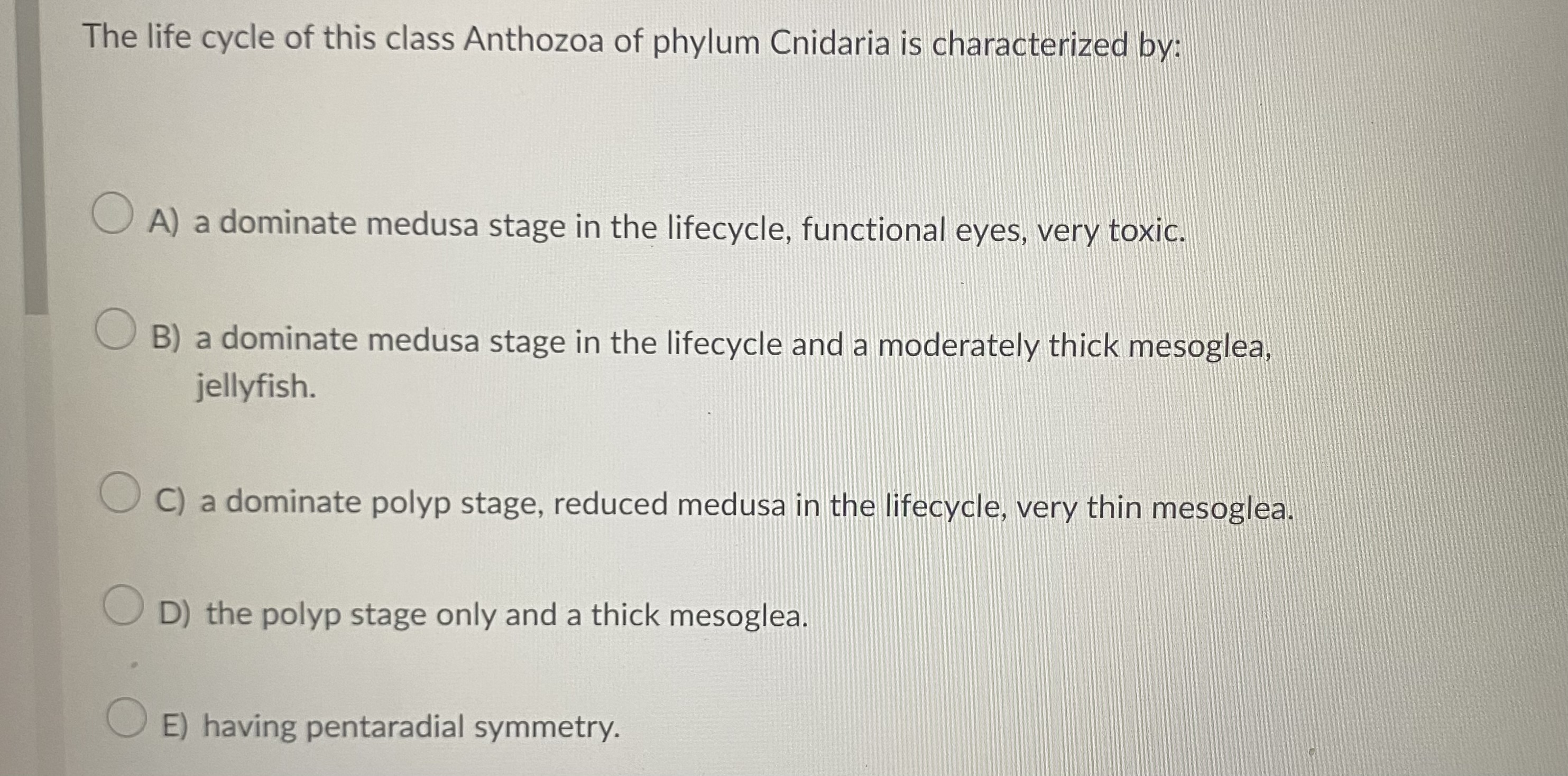 Solved The life cycle of this class Anthozoa of phylum | Chegg.com