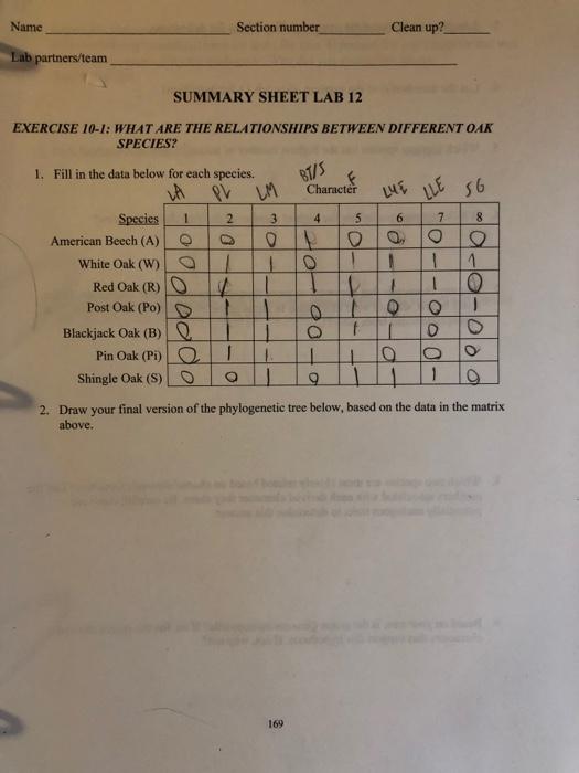 Blackjack Oak Tree Definition