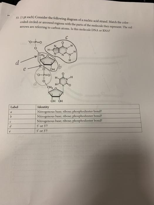 Solved 33. (1 pt each) Consider the following diagram of a | Chegg.com