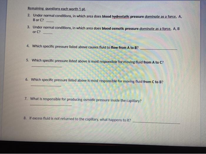 Remaining questions each worth 1 pt. 2. Under normal conditions, in which area does blood hydrostatic pressure dominate as a