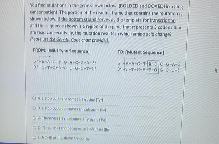 Solved You find mutations in the gene shown below (BOLDED | Chegg.com