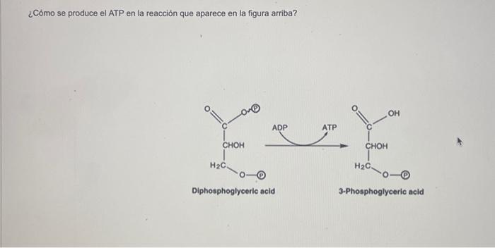 ¿Cómo se produce el ATP en la reacción que aparece en la figura arriba?