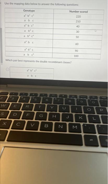 Use the mapping data below to answer the following questions: Which pair best represents the double recombinant chasses?