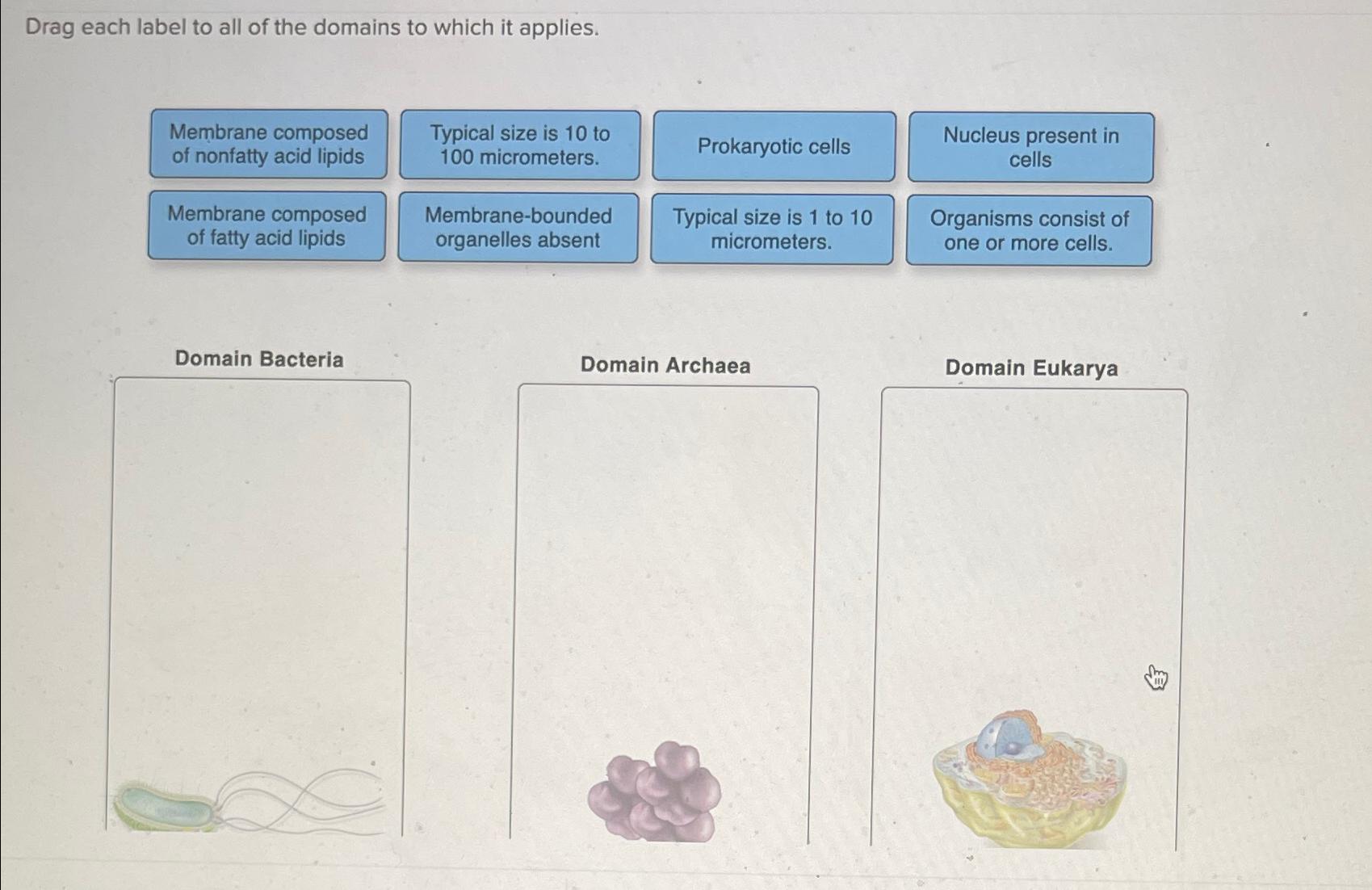 Solved Drag each label to all of the domains to which it | Chegg.com