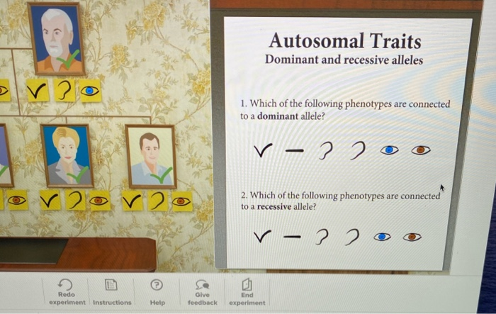 Solved Autosomal Traits Dominant and recessive alleles 2 1. | Chegg.com