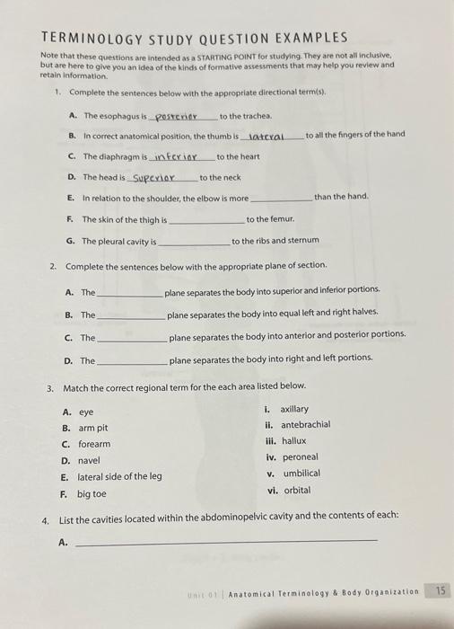 TERMINOLOGY STUDY QUESTION EXAMPLES Note that these | Chegg.com