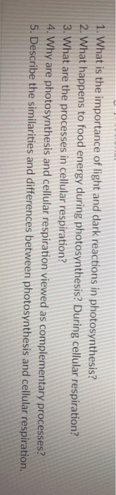 Solved 1 What Is The Importance Of Light And Dark Reacti Chegg Com