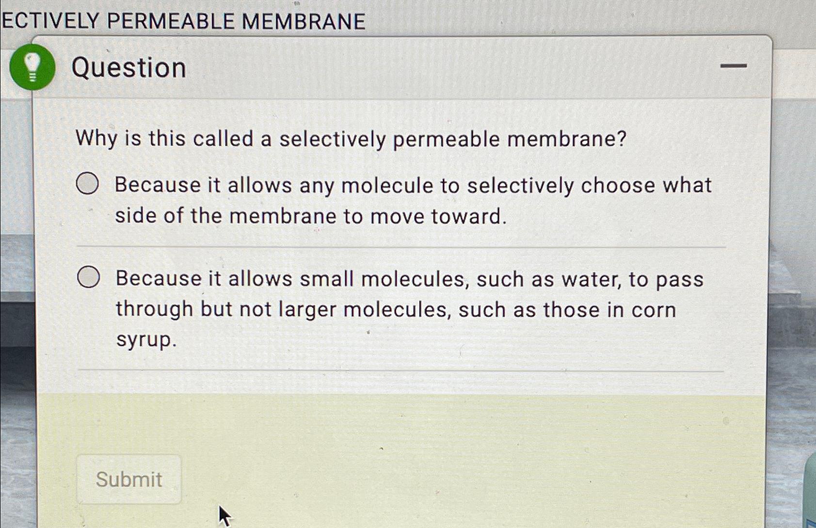 Solved ECTIVELY PERMEABLE MEMBRANEQuestionWhy Is This Called | Chegg.com