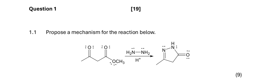 Solved Question 1[19]1.1 ﻿Propose a mechanism for the | Chegg.com