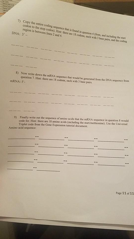 Solved 7) Copy the entire coding sequence that is found in | Chegg.com