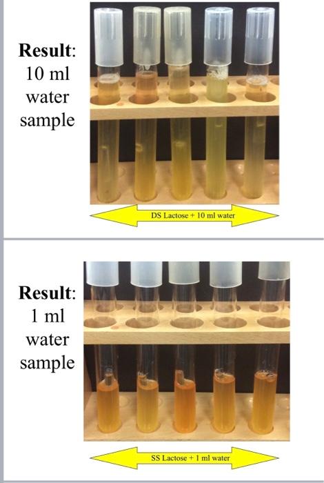 Result: \( 10 \mathrm{ml} \) water sample
DS Lactose \( +10 \mathrm{ml} \) water
Result: \( 1 \mathrm{ml} \) water sample