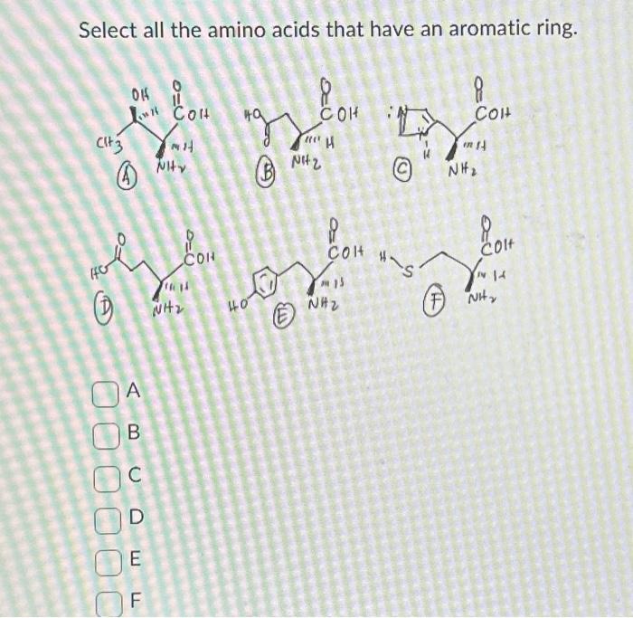 Solved Select all the amino acids that have an aromatic | Chegg.com