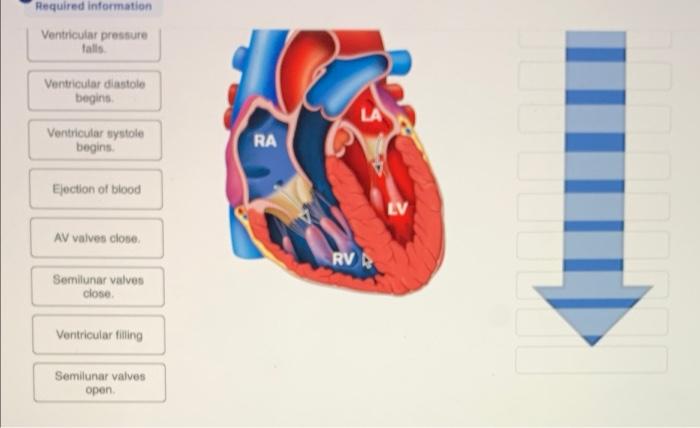 Heart Beat - an overview