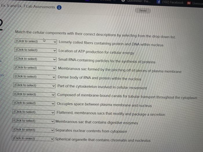 Solved Ackteller: the f (102) Facebook Livesco Ex: 5 and 